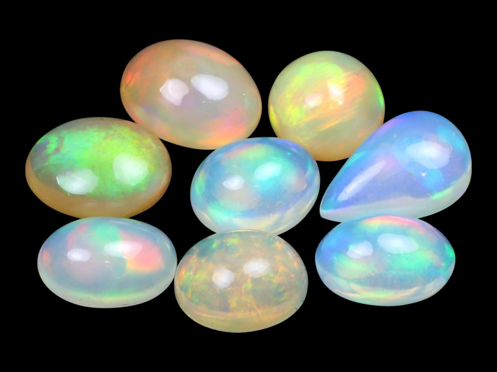 12.15 Carats Multi-Color Welo Opal Lot - Natural Ethiopian Stones: This radiant group of Welo opals displays a mesmerizing interplay of color that dances across the surface with every shift of light. Electric flashes of green, orange, and red ripple through a translu