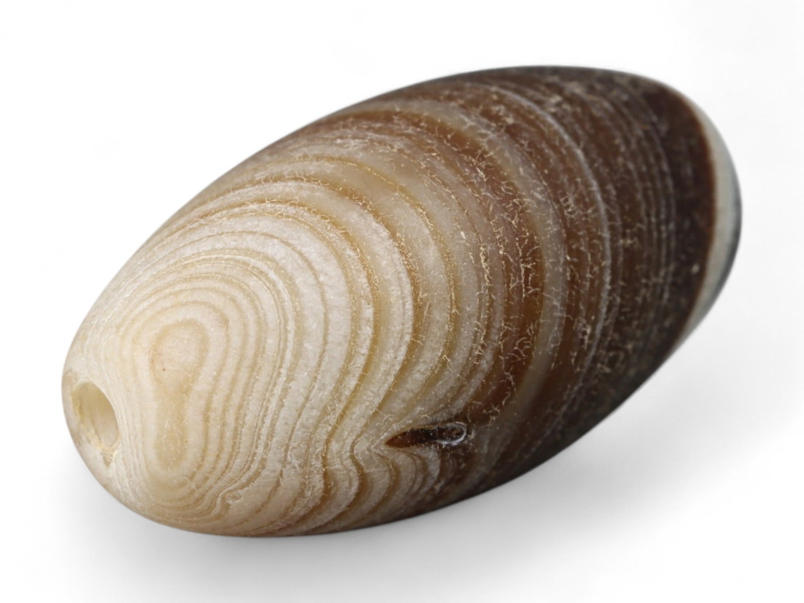 Ancient Indus Valley Banded Agate Lentoid Bead, c. 3rd Millennium BCE, 1.5cm: This elegant bead, carved from banded agate, dates to the Indus Valley Civilization (c. 3300-1300 BCE), one of the world's earliest urban cultures. The Indus people were renowned for their sophisticat