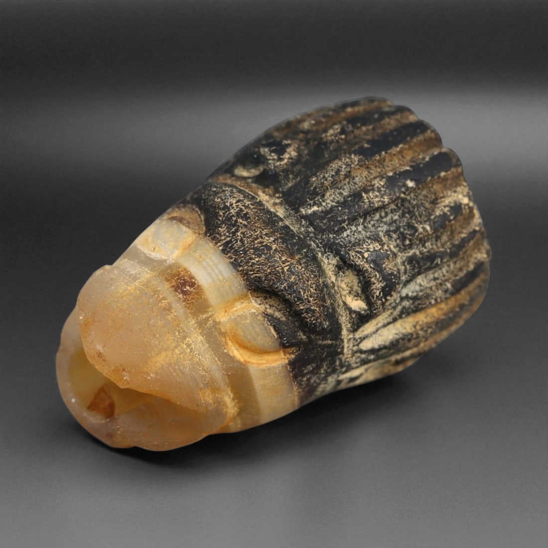 Ancient Persian Lion Head Banded Agate Amulet, c. 6th-4th Century BCE 22mm: This striking amulet, carved in the form of a lion's head, originates from the Achaemenid Persian Empire, circa 6th-4th century BCE. The lion was one of the most powerful symbols in Persian art, repre