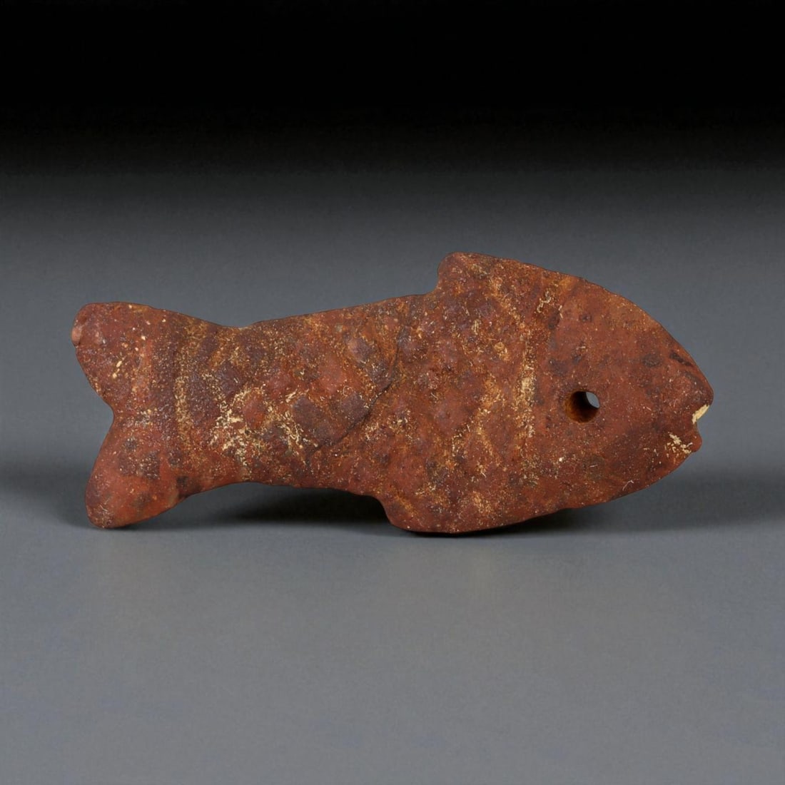 Ancient Indus Valley Red Jasper Fish Amulet, c. 2600-1900 BCE, 3.2cm: This finely carved red jasper amulet, depicting a stylized fish, originates from the Indus Valley Civilization, one of the earliest centers of urban and artistic achievement in human history (c. 2600-