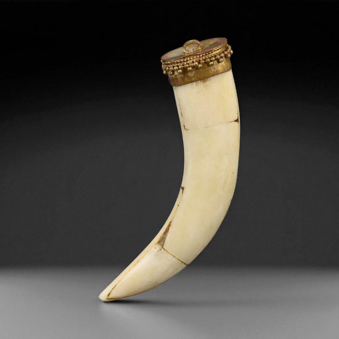 Vintage Himalayan Tribal Bone Fang Gilt Copper Pendant, 20th Century, 10cm: This powerful Himalayan pendant, crafted in the 20th century, is formed from a long curved bone fang capped with a gilt copper mount. The cap is decorated with a beaded border and a suspension loop, b