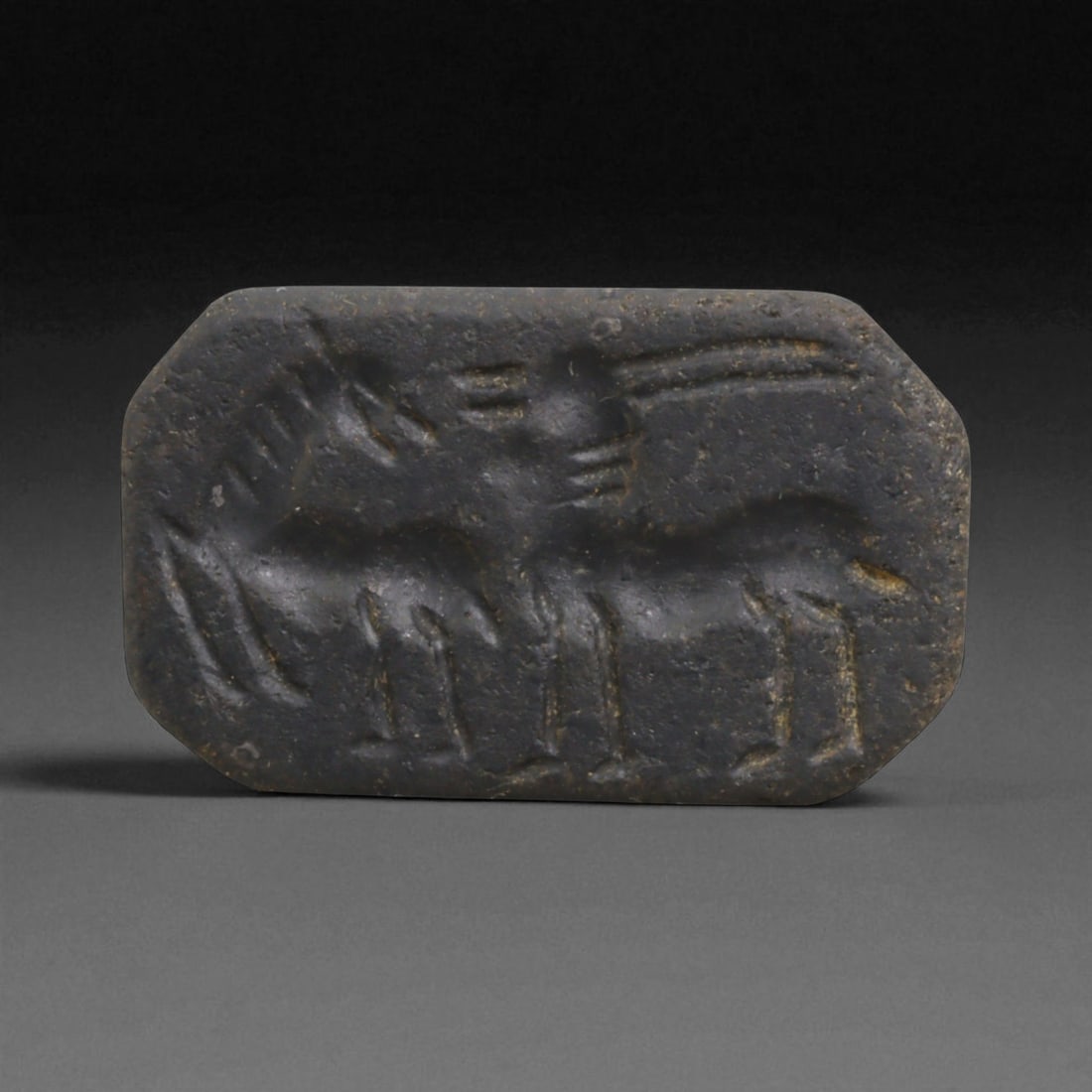 A Mesopotamian Kassite Black Stone Stamp Seal with Two Ibexes, c. 14th-12th Century BCE 10g, 92J (1 of 2)