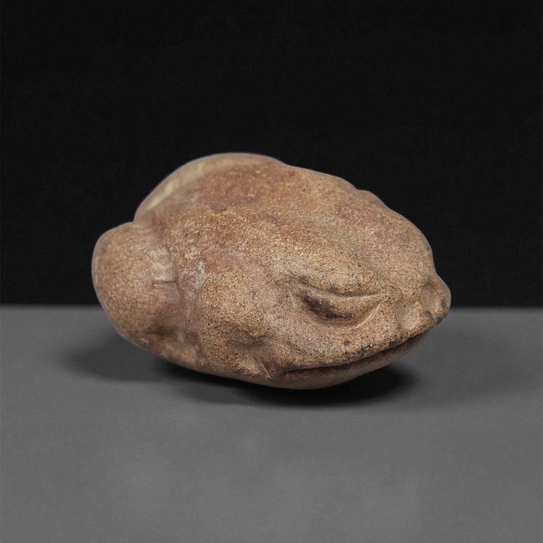 A Mesoamerican Stone Amphibian Figure, Late Preclassic-Classic Period, Circa 300 BCE-900 CE, 20LB: Carved from a coarse-grained brown stone with natural surface inclusions, the figure depicts an amphibian in a compact, recumbent position. The head is modeled with a broad snout, recessed lenticular 