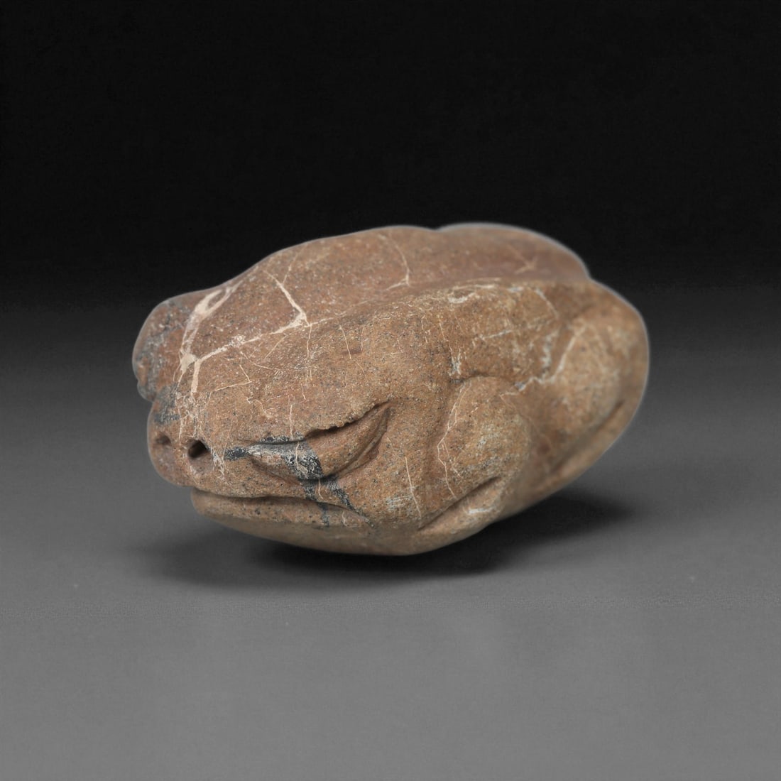 A Mesoamerican Stone Amphibian Figure, Late Preclassic-Classic Period, Circa 300 BCE-900 CE, 37LB: Carved from a brown stone with natural veining, the figure is modeled in a compact, recumbent posture. The head is shaped with a rounded snout, small circular nostril perforations, and recessed lentic