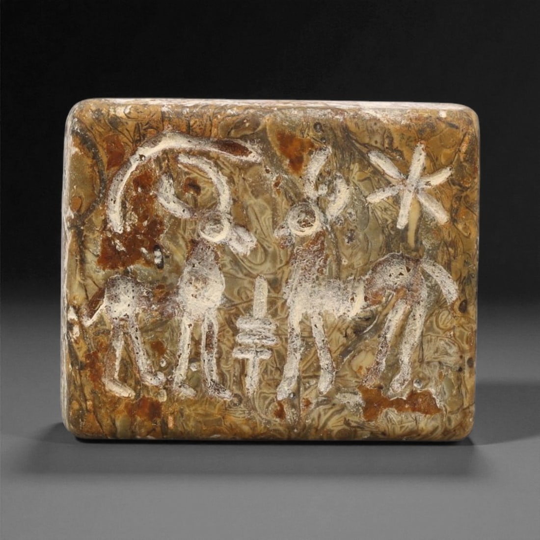 Ancient Akkadian Fossilized Stone Stamp Seal, c. 24th-22nd Century BCE, 3cm, 92ET (1 of 2)