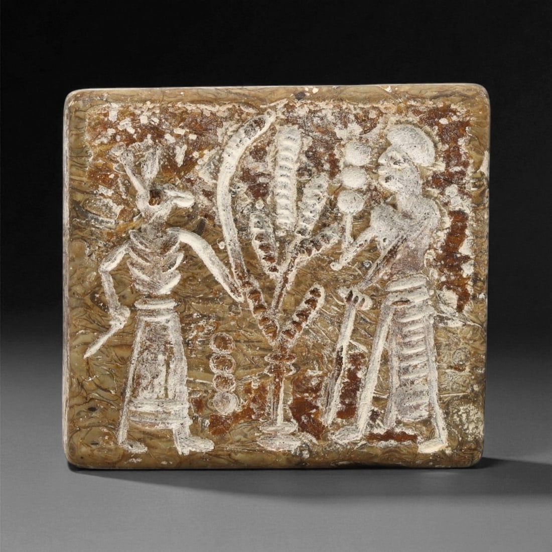 Ancient Akkadian Fossilized Stone Stamp Seal, c. 24th-22nd Century BCE, 3.7cm, 7ET (1 of 2)