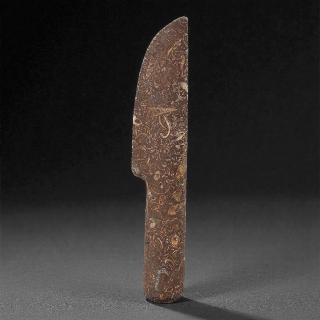 A Sino-Mongolian Fossil Jasper Ritual Knife, 2nd-1st Millennium BCE, 6LR: Carved from dense fossiliferous jasper, the object is shaped as a narrow, tapering blade with a straight handle section and a slight angular transition defined by a shallow lateral notch. The surfaces