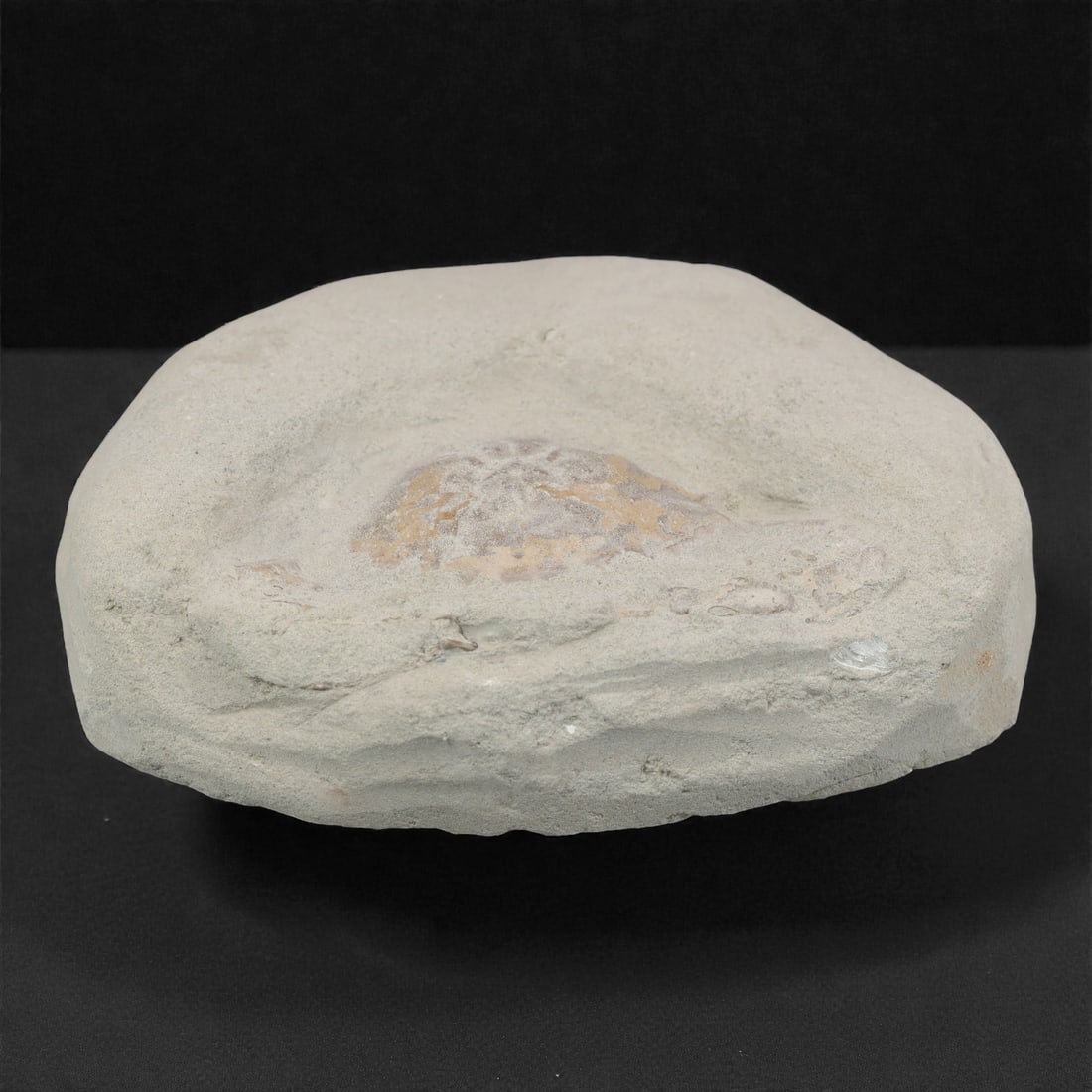 Prehistoric Stone Crab Fossil, Ancient Specimen, 12cm, 59D: Carved by geological processes, this specimen preserves the mineralized remains of a crab embedded within a consolidated sedimentary matrix. The form retains the domed carapace and partial appendages,