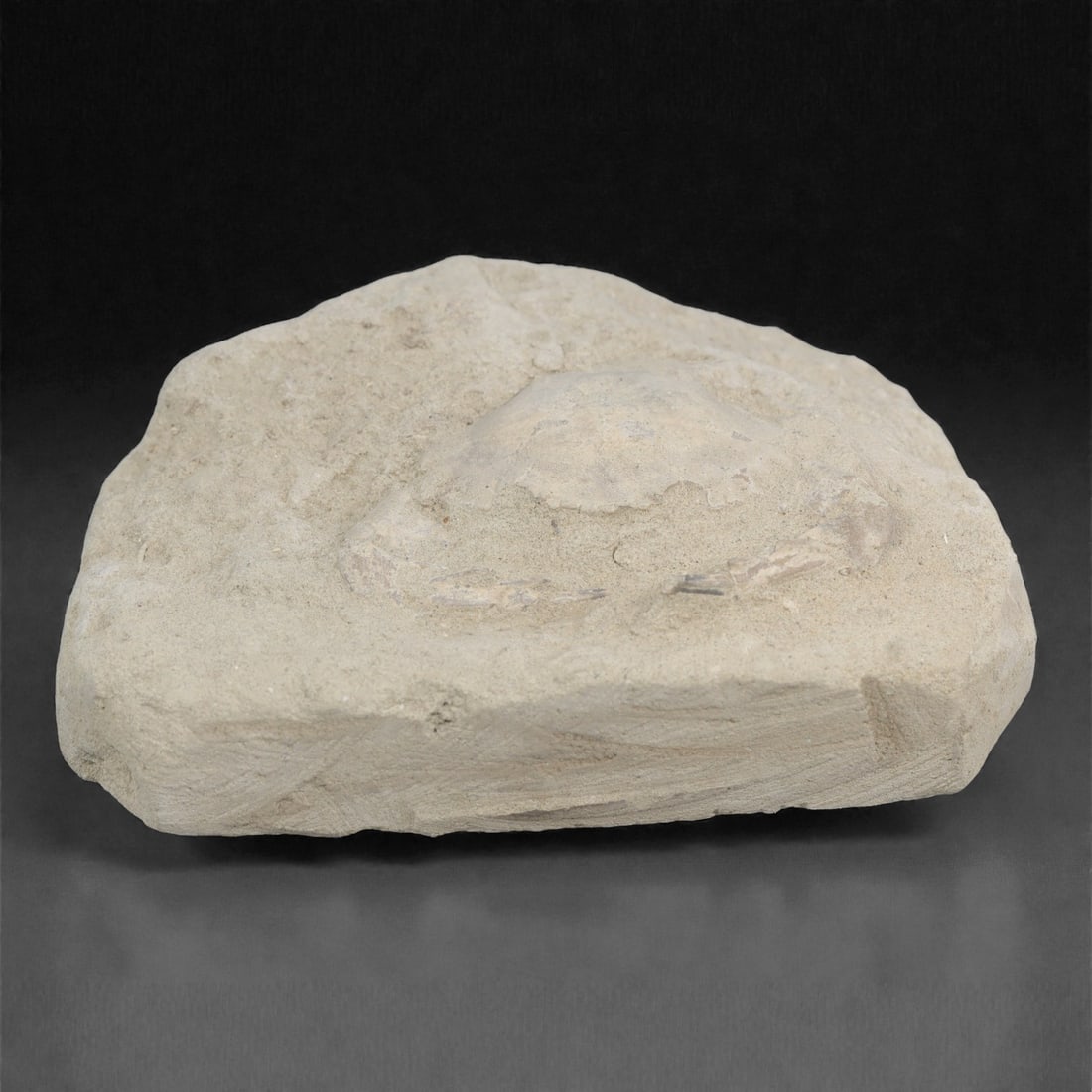 Prehistoric Stone Crab Fossil, Ancient Specimen, 10cm, 86D: Carved by geological processes, this specimen preserves the mineralized remains of a crab embedded within a consolidated sedimentary matrix. The form retains the domed carapace and partial appendages,