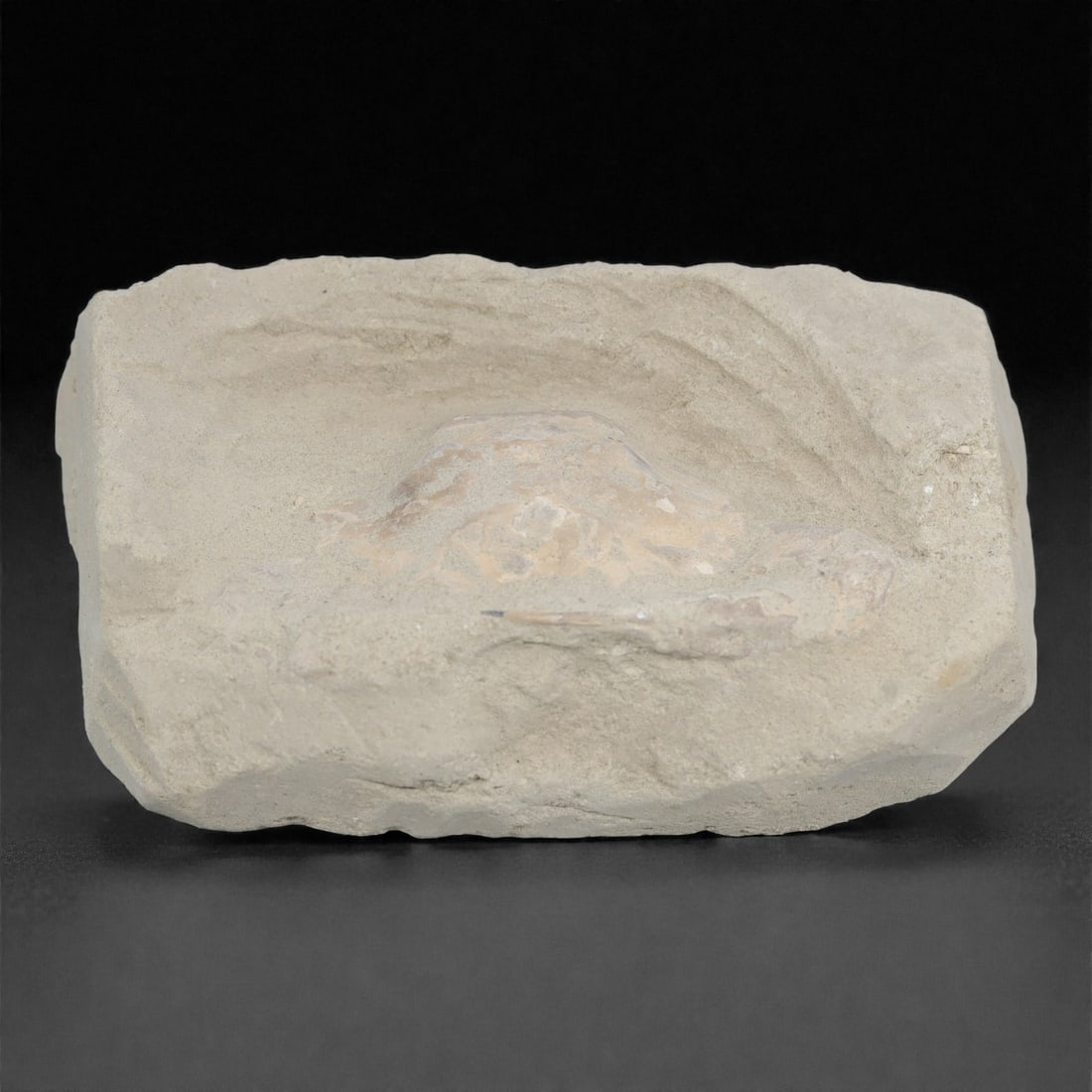 Prehistoric Stone Crab Fossil, Ancient Specimen, 10cm, 83D: Carved by geological processes, this specimen preserves the mineralized remains of a crab embedded within a consolidated sedimentary matrix. The form retains the domed carapace and partial appendages,