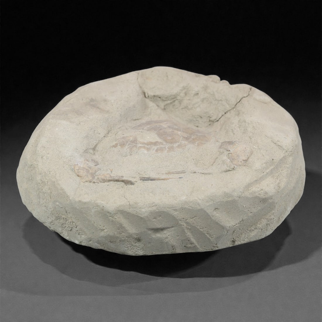 Prehistoric Stone Crab Fossil, Ancient Specimen, 11.6cm, 66D: Carved by geological processes, this specimen preserves the mineralized remains of a crab embedded within a consolidated sedimentary matrix. The form retains the domed carapace and partial appendages,