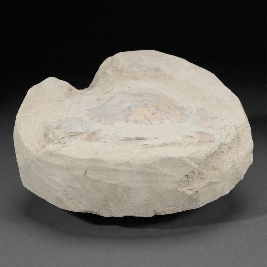 Prehistoric Stone Crab Fossil, Ancient Specimen, 14cm, 74D (1 of 1)