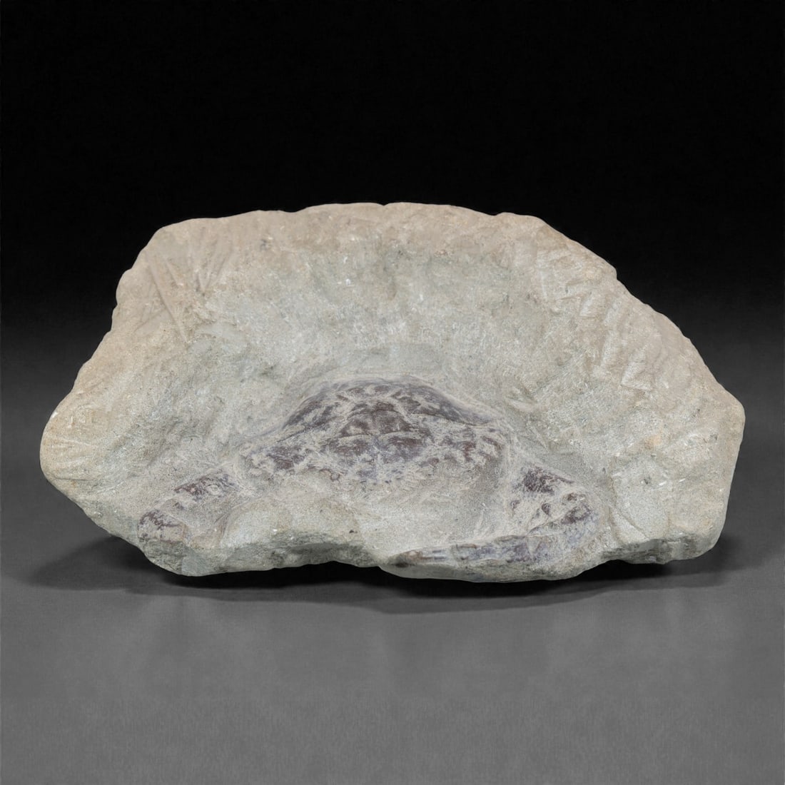 Prehistoric Stone Crab Fossil, Ancient Specimen, 14cm, 56D: Carved by geological processes, this specimen preserves the mineralized remains of a crab embedded within a consolidated sedimentary matrix. The form retains the domed carapace and partial appendages,