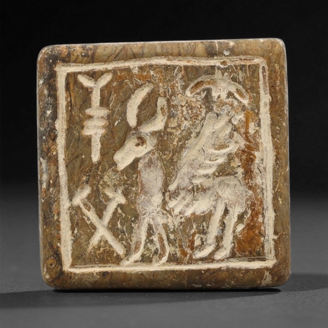 Ancient Akkadian Fossilized Stone Stamp Seal, c. 24th-22nd Century BCE, 2.7cm, 58ET (1 of 2)