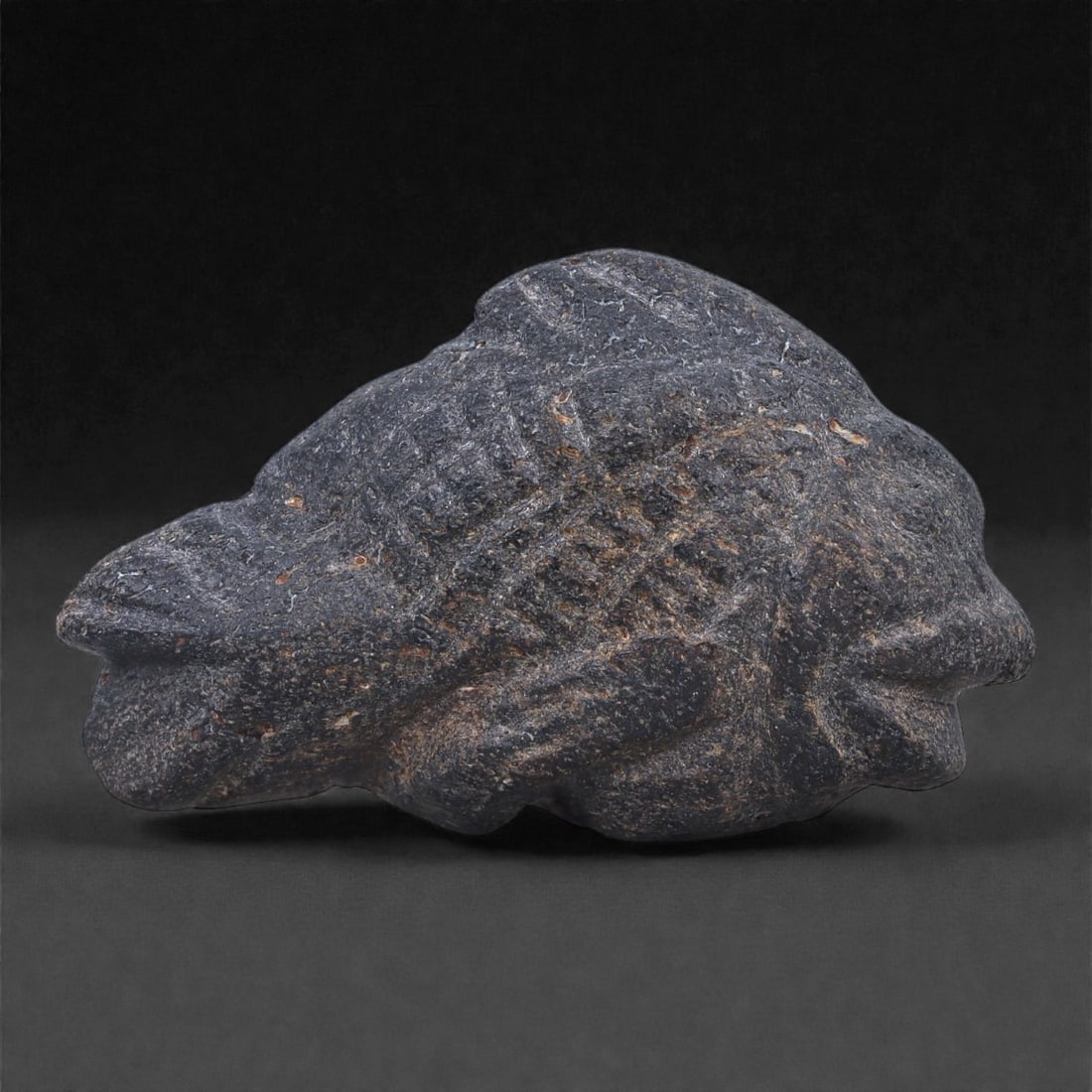 Ancient Fossil Bone Stone Fish Effigy - Zoomorphic Aquatic Sculpture, 22E: This small zoomorphic effigy represents a fish rendered in a highly simplified, archaic form and carved from dense fossilized bone stone. The body is elongated and compact, with gently tapering ends a