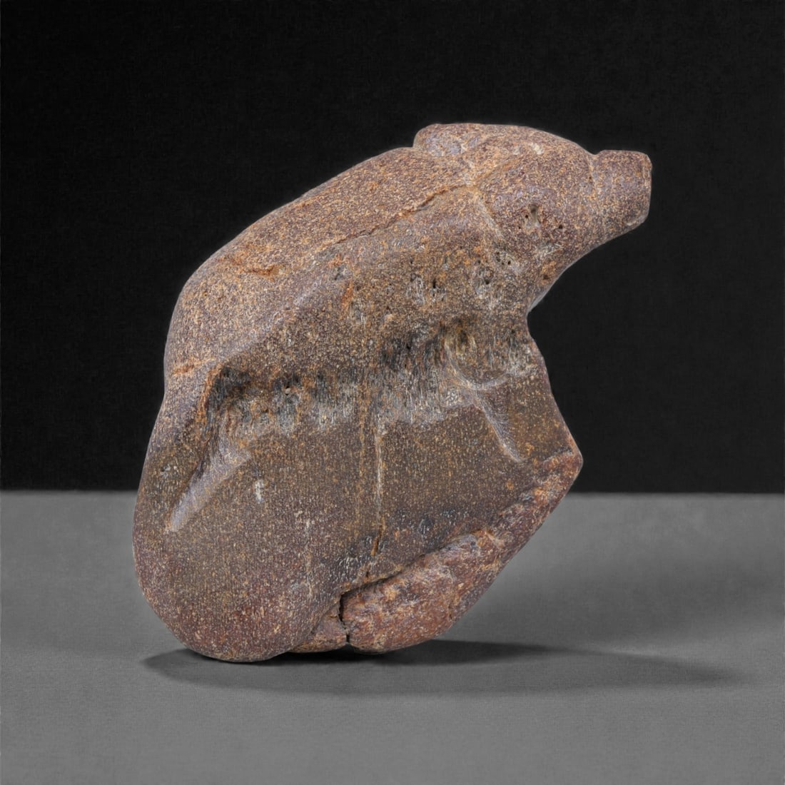 Ancient Fossil Bone Stone Zoomorphic Effigy - Abstract Animal Form, 15F: This sculptural zoomorphic effigy is carved from dense fossilized bone stone and rendered in a highly abstract, archaic style. The figure presents a compact, forward-leaning animal form with a pronoun