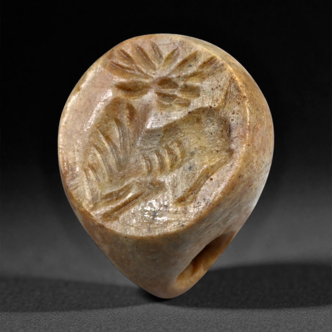A Mesopotamian Kassite Steatite Stamp Seal with Ibex and Tree, c. 14th-12th Century BCE 24g, 6LH: This rounded steatite stamp seal, measuring 3 cm (1.18 in) and weighing 24 g (0.84 oz), dates to the Kassite dynasty of Babylonia, c. 14th-12th century BCE. The carved face depicts an ibex standing be