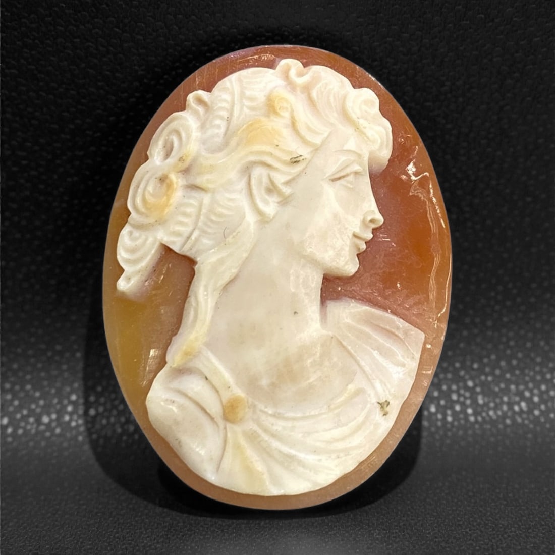 A European Shell Cameo, 20th Century, 6g, 63BB: Carved from layered shell with a pale white upper stratum over a warm brown ground, the cameo is oval in form and carved in relief with a right-facing female bust. The subject is depicted in classical