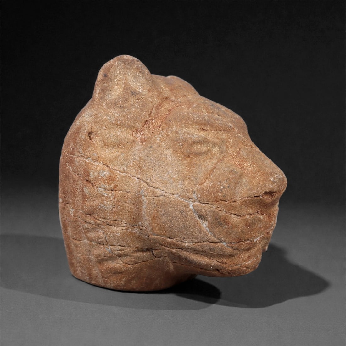 Ancient Stone Lioness Head - Zoomorphic Animal Figurine, 77F (1 of 3)