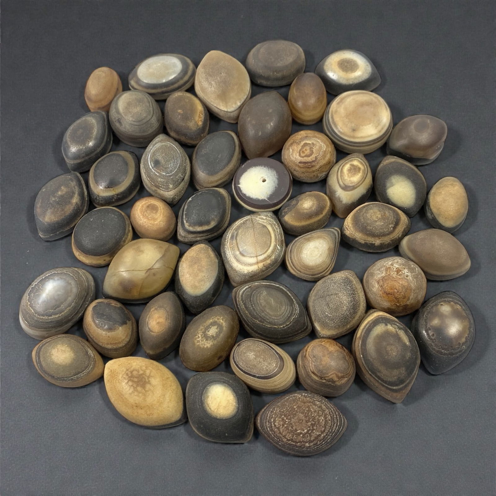 A Group of Tibetan Luk Mik ("Goat's Eye") Agate Beads, 11th-14th Century CE, 22W (1 of 1)