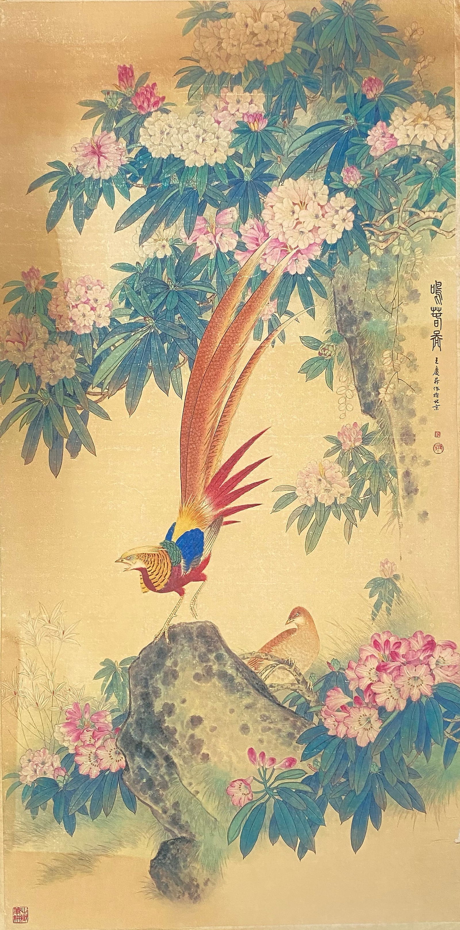 A Chinese Ink and Color Art Print of Golden Pheasant and Rhododendrons, 20th Century, 16FK (1 of 2)