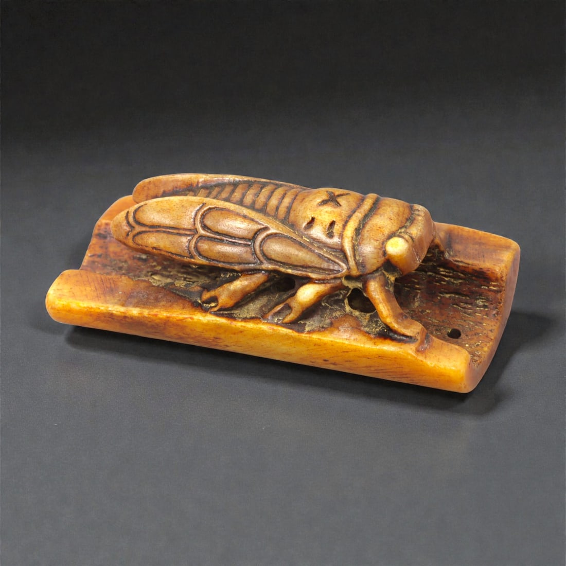 A Chinese Bone Carving of a Cicada, 20th Century, 19FC (1 of 2)