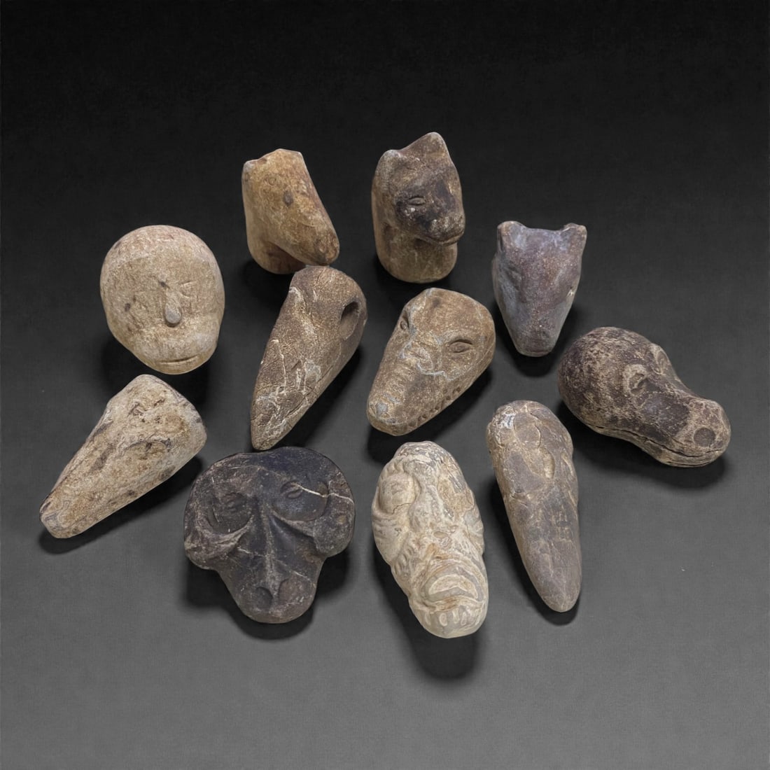 A Group of Eleven Ancient Zoomorphic Stone Heads, 1st Millennium BCE, 32FN (1 of 1)