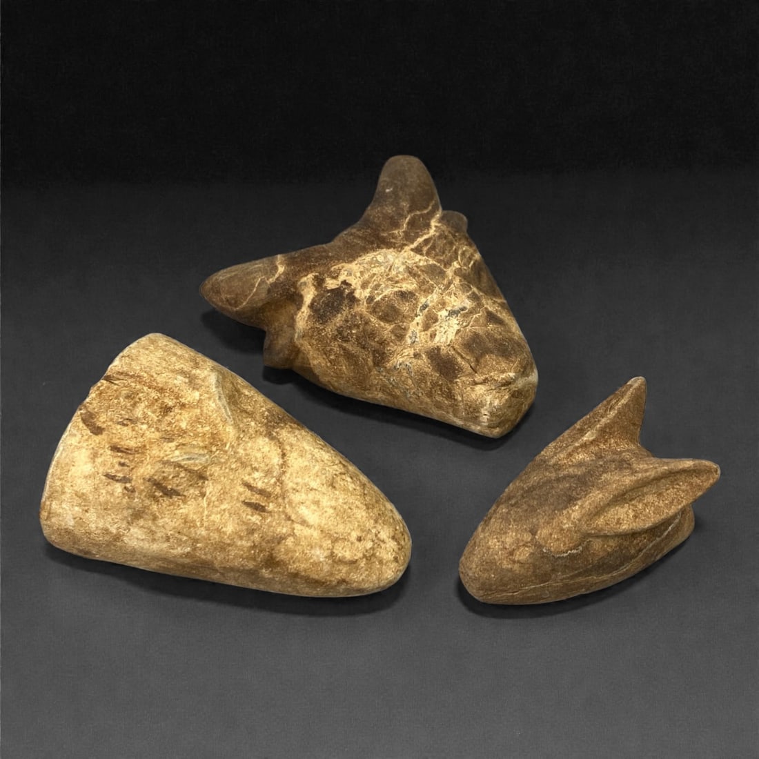 A Group of Three Ancient Near Eastern Zoomorphic Stone Heads, 2nd-1st Millennium BCE, 61FL (1 of 1)