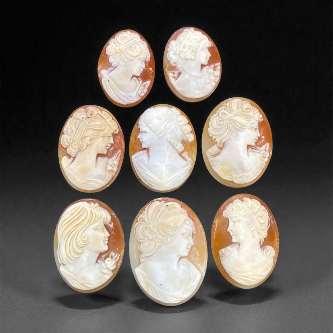 A Group of Eight European Shell Cameos, 20th Century, 39g, 86AA: Comprising eight oval shell cameos, each carved in relief with a profile portrait of a woman. The cameos are executed from two-tone shell, with the white upper layer forming the figure against a warm