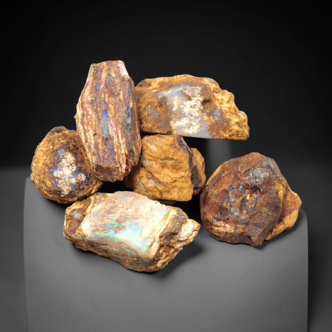 A Lot of Boulder Opal Rough Specimens, 63ZJ (1 of 1)