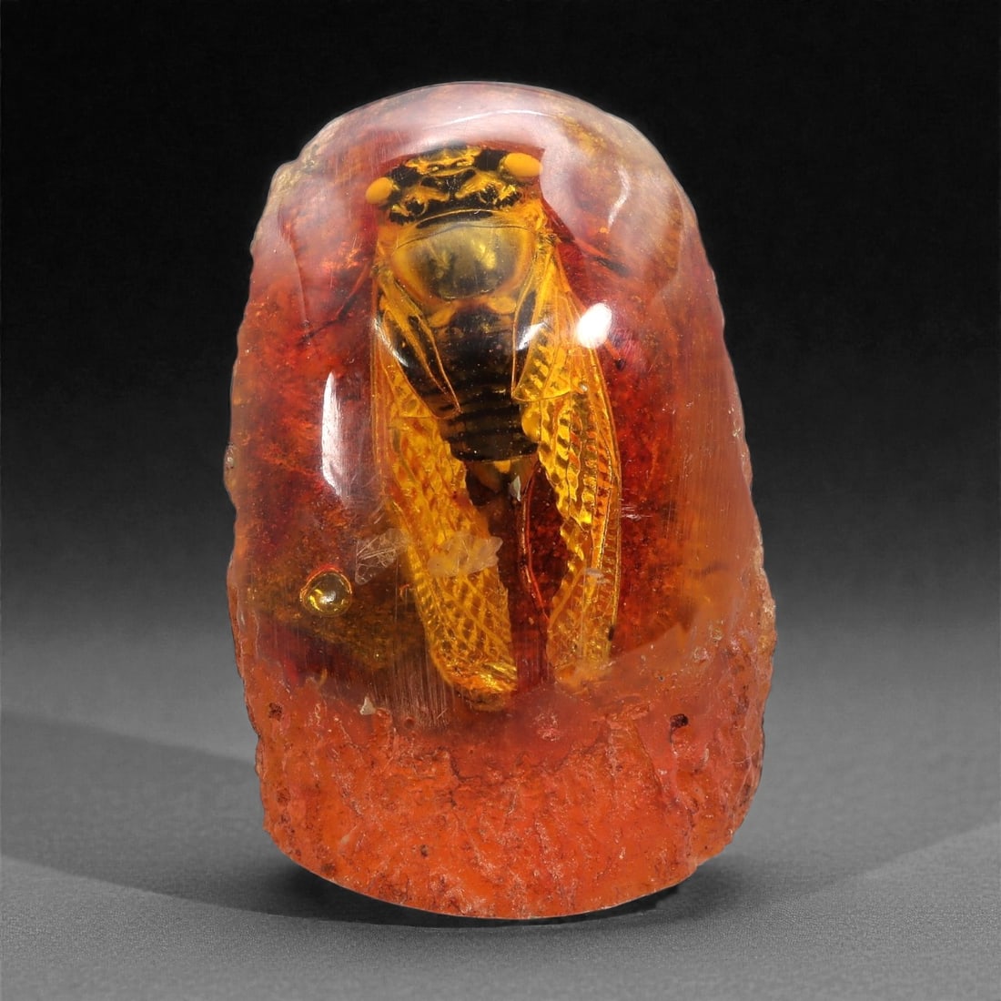 An Amber Resin Insect Inclusion Display Specimen, 20th Century, 35FH (1 of 2)