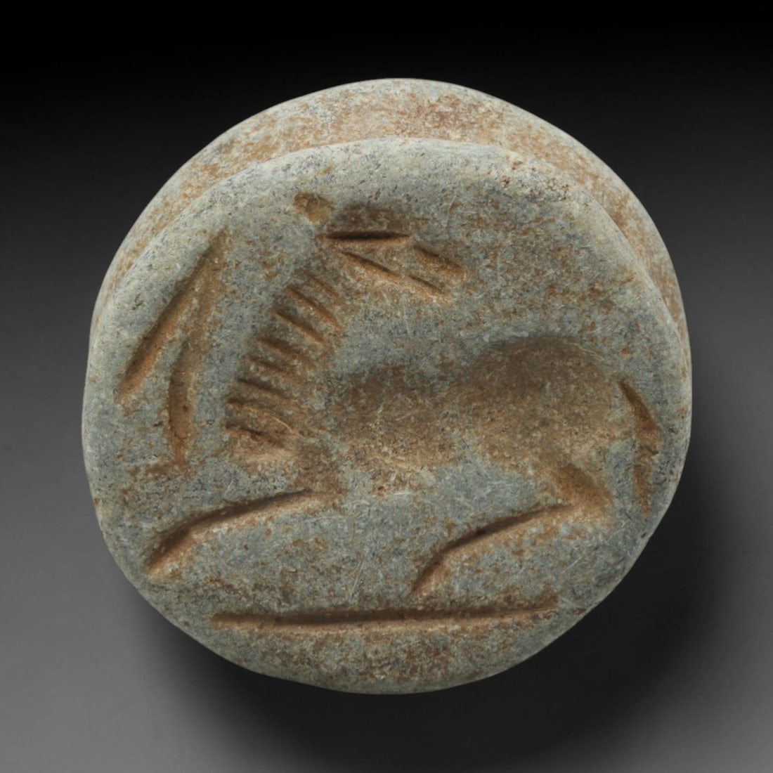 Ancient Schist Double-Convex Seal - Near Eastern Animal Motif, 20ZQ: Carved from schist stone, this ancient Near Eastern double-convex seal bead features a raised relief animal motif with linear detailing on the convex surface, typical of small administrative or ritual