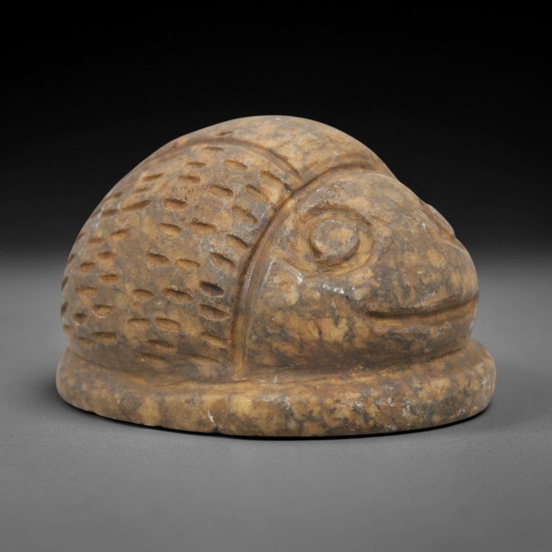 Ancient Steatite Scarab Amulet - Near Eastern Figurine, 62ZQ: Carved from steatite, this scarab amulet features a naturalistic form with incised detailing for facial features and wing texture. The stone has a warm, earthy patina with minor surface wear consisten