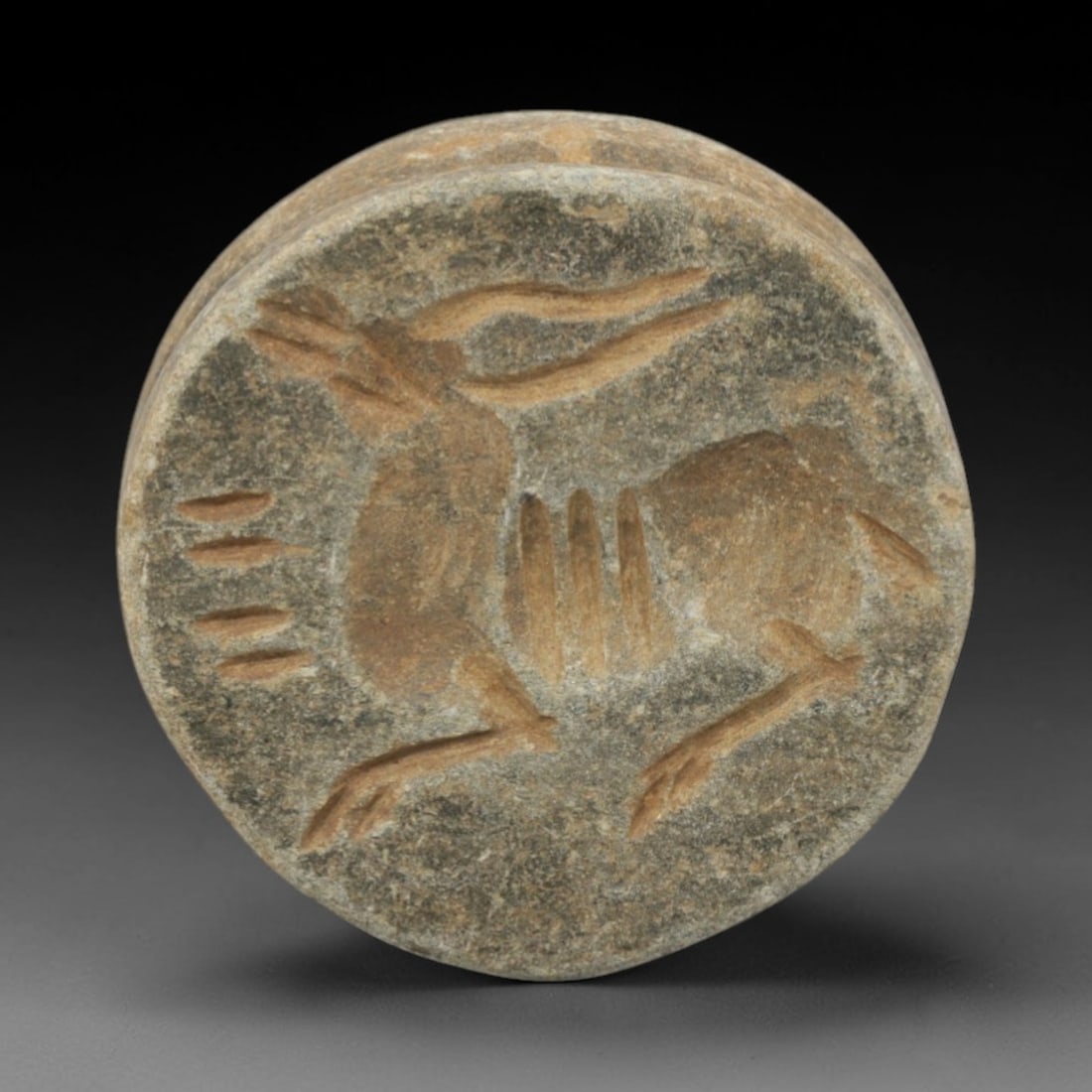 Ancient Schist Double-Convex Seal - Near Eastern Animal Motif, 19ZQ: Carved from schist stone, this ancient Near Eastern double-convex seal bead features a raised relief animal motif with linear detailing on the convex surface, typical of small administrative or ritual