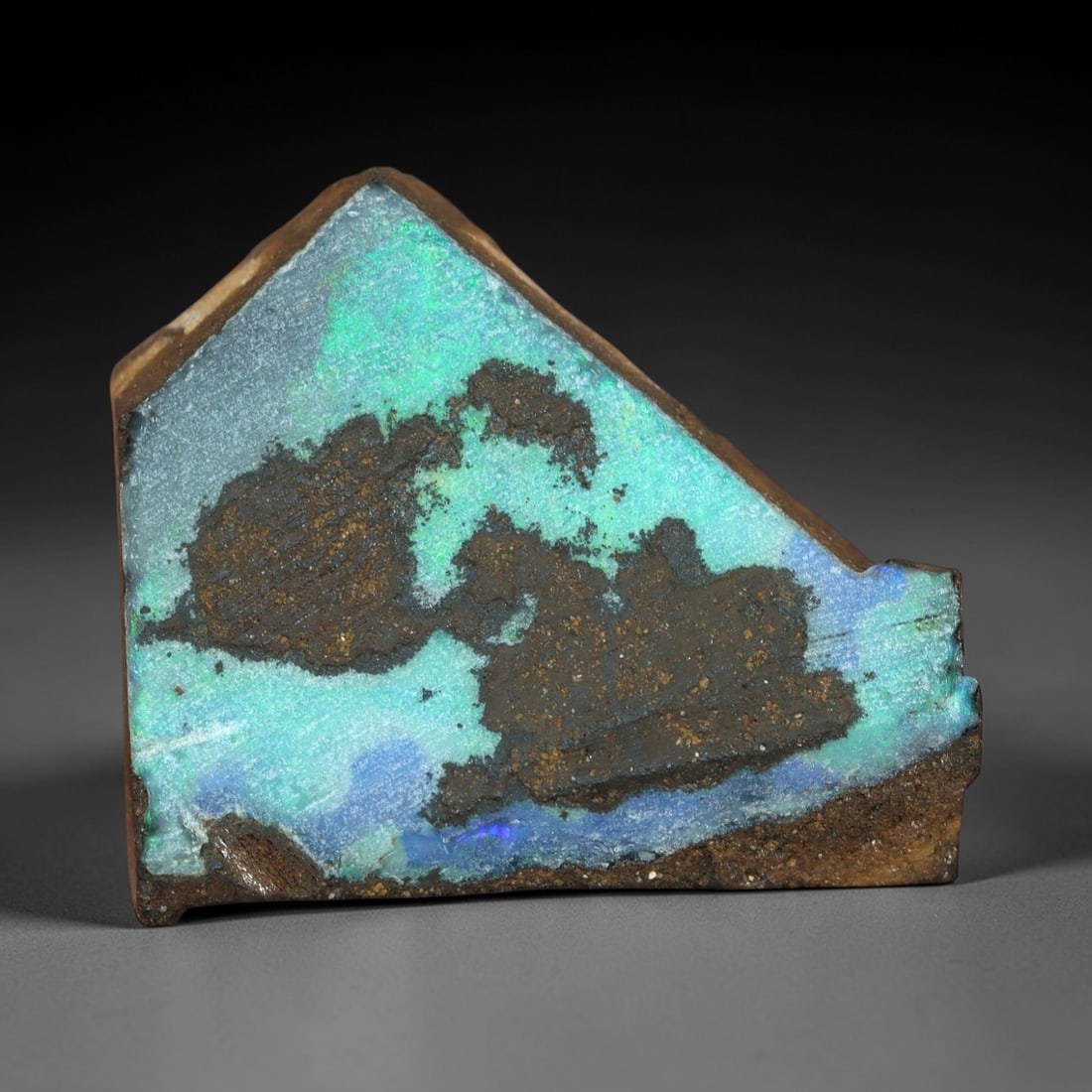 10.61 Carats Iridescent Green-Blue Winton Opal Rough - Natural Australian Specimen 18x16mm, 79XM: This exceptional rough opal from Winton, Australia, captivates with a vivid play of color, where intense flashes of emerald green and celestial blue swirl through a milky, translucent base. The natura