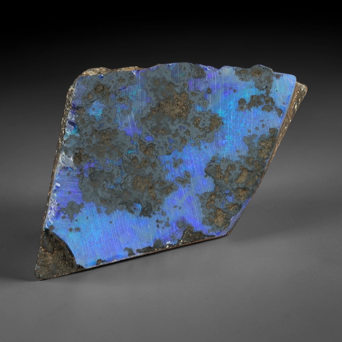 23.55 Carats Winton Boulder Opal Rough Slab - Natural Australian Stone, 46XP: This impressive Winton boulder opal rough slab displays a dramatic field of vivid cobalt blue iridescence, with swirling patches of indigo and hints of teal-green that glow intensely under light. Meas