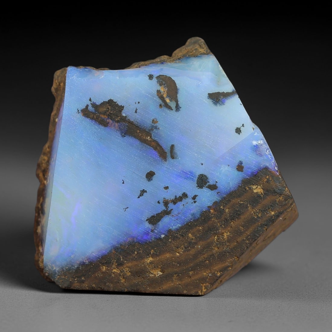 19.97 Carats Winton Boulder Opal Rough Specimen - Natural Australian Stone, 39XP: This exquisite Winton boulder opal rough specimen showcases a brilliant band of vivid sky-blue and periwinkle play-of-color, with subtle hints of lavender iridescence that glow softly under light. Mea