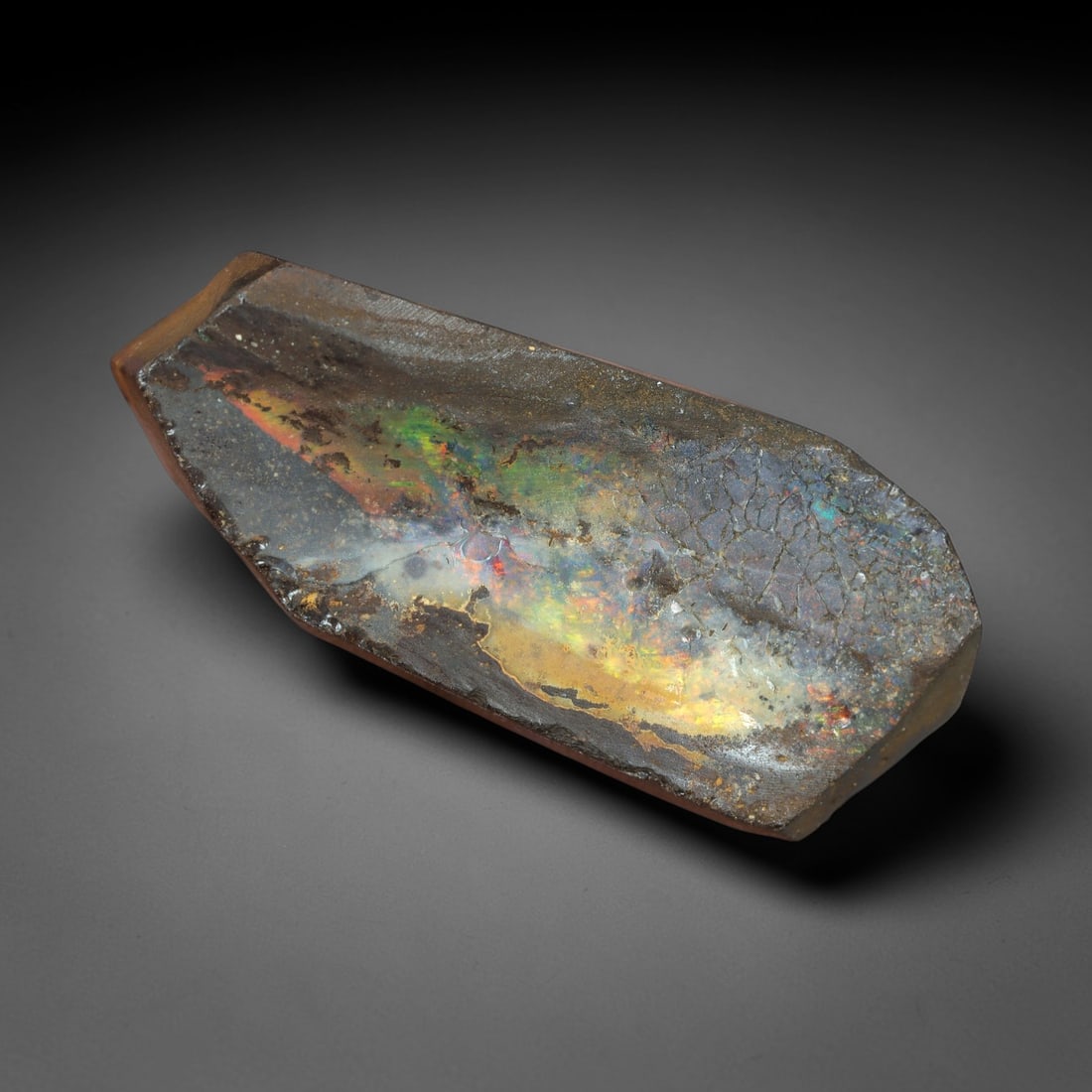 28.26 Carats Multicolor Iridescent Winton Opal Rough - Natural Australian Specimen 30x12mm, 82XM: This exceptional rough opal from Winton, Australia, captivates with a vivid play of color, where intense flashes of fiery orange, golden yellow, vibrant green, and deep blue swirl through a milky, tra