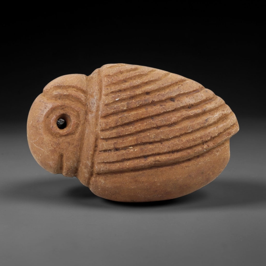 Ancient Steatite Scarab Amulet - Zoomorphic Carving, 93AG (1 of 2)