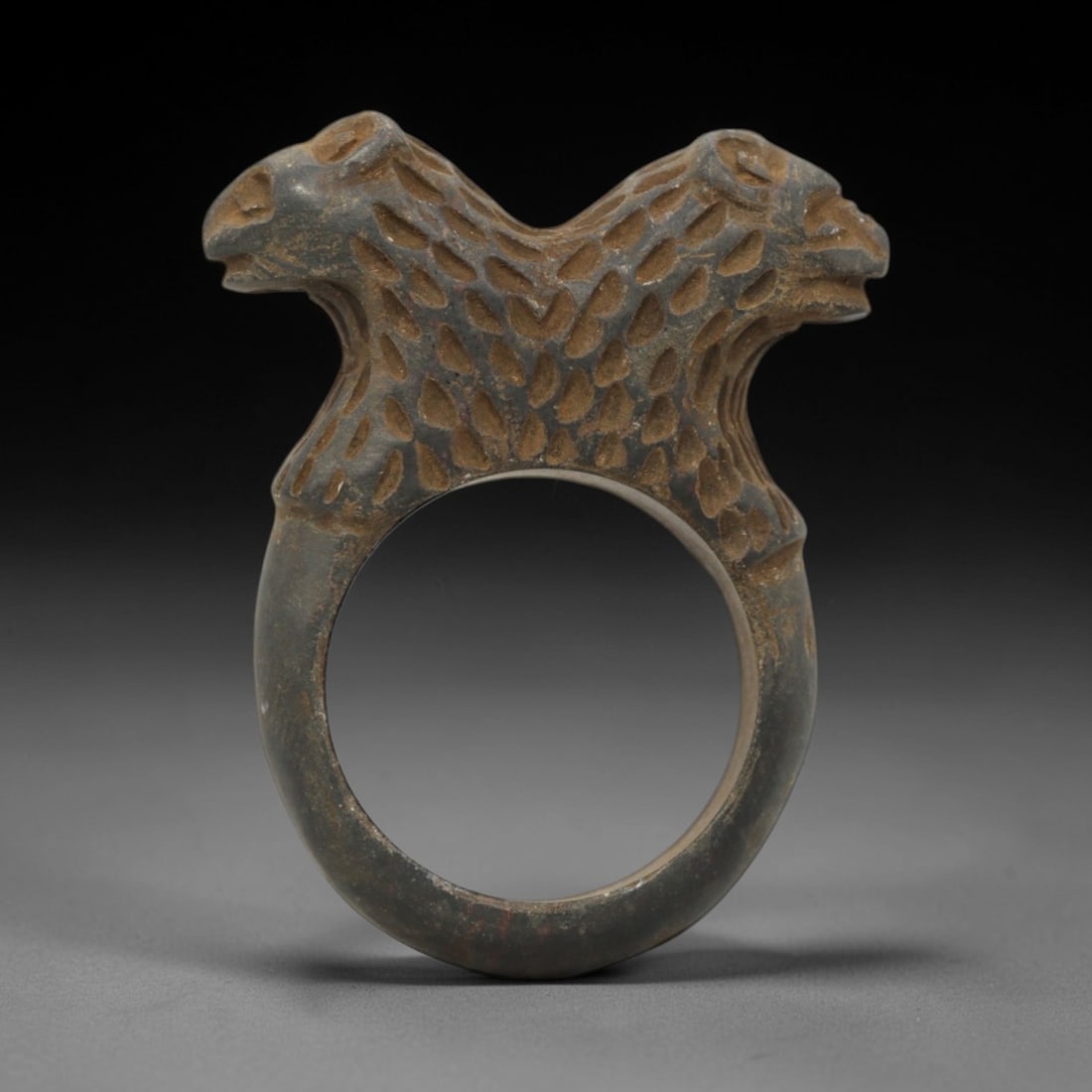 Ancient Steatite Ring - Achaemenid Double Feline Signet Ring, 35ZQ: Carved from steatite, this ancient Achaemenid ring features a double feline head motif with linear detailing, characteristic of Achaemenid glyptic art. The ring exhibits a smooth, aged patina consiste