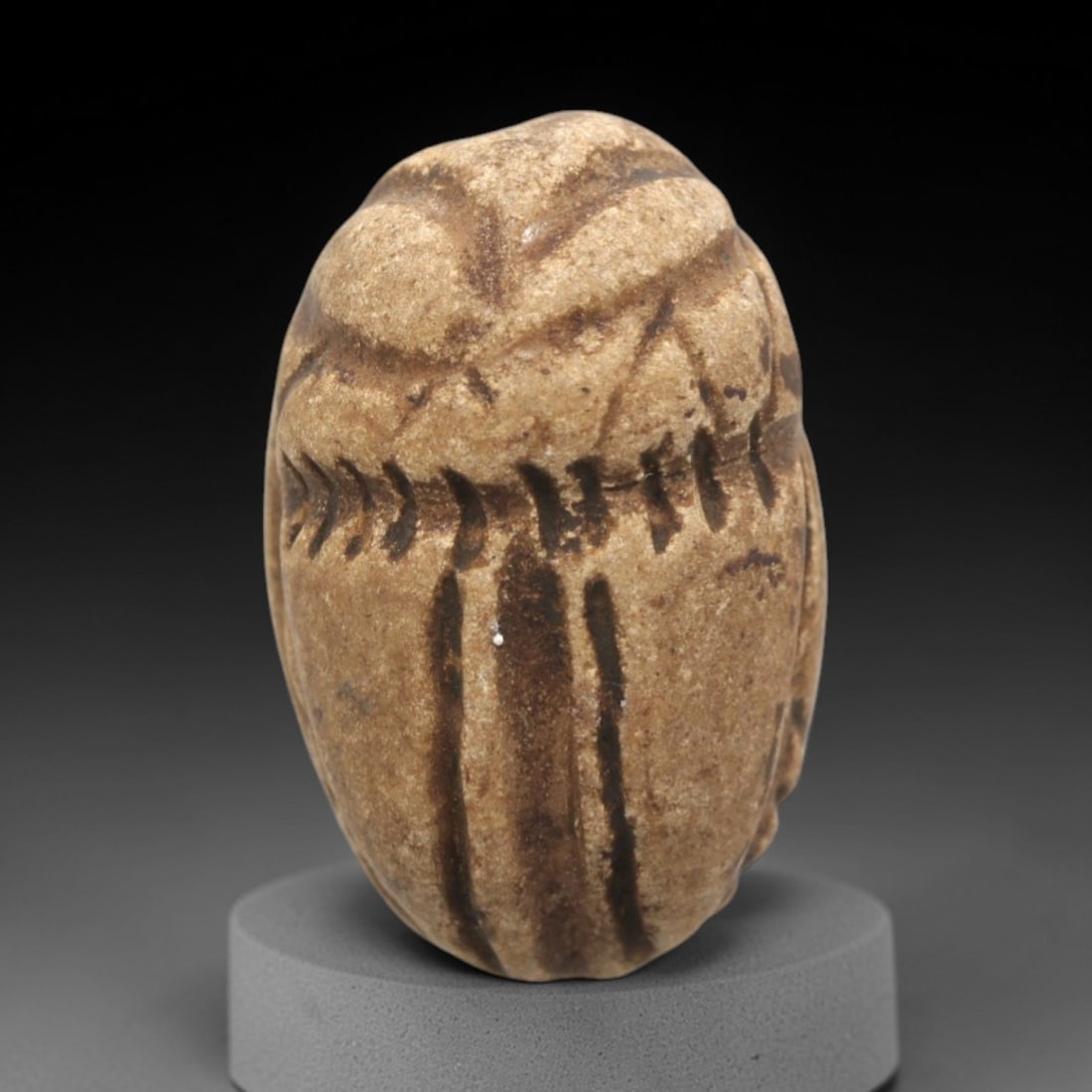 Ancient Steatite Scarab Stamp Seal - Near Eastern Gazelle Figure, 22ZS: Carved from light brown steatite with dark incised patination, this Near Eastern scarab stamp seal features a dorsal scarab pattern with incised linear elytra segments and decorative details, while th