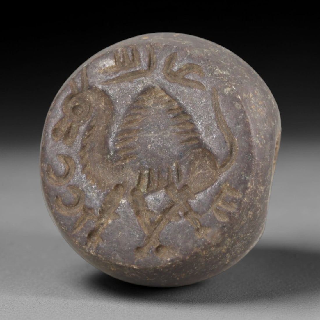 Ancient Steatite Stamp Seal - Sasanian Camel, 53AK: Carved from steatite, this hemispherical Sasanian stamp seal features a central camel motif with incised details defining its hump, legs, and facial features, surrounded by epigraphic script consisten