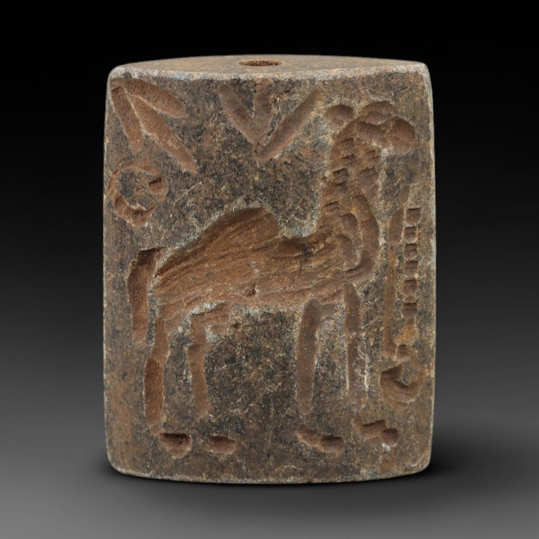 Ancient Schist Double Convex Bead - Perforated Stone Bead, 5AH: Carved from schist stone, this ancient double convex bead features a biconical form with a central perforation, typical of ornamental use in early cultural contexts. The stone exhibits a natural, eart