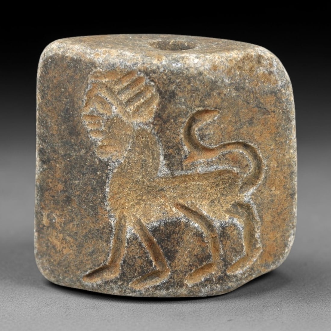Ancient Schist Double Convex Bead Amulet - Near Eastern Mythical Beast Intaglio, 81AM: Carved from dark gray schist, this 2.3x2cm double convex bead amulet features two distinct intaglio motifs: one side depicts a human-headed beast (likely a sphinx or composite mythical creature) with
