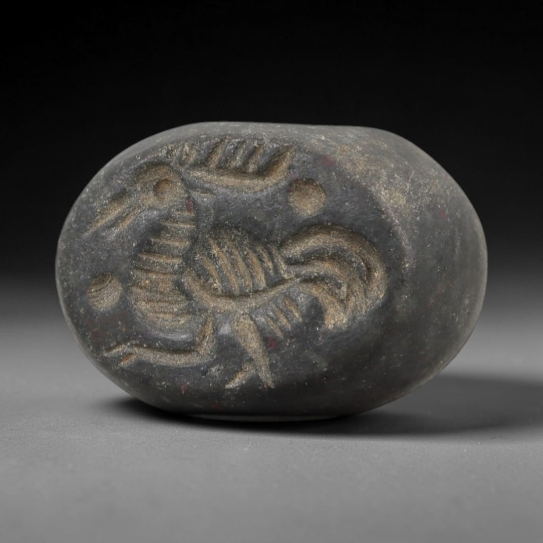 Ancient Stone Hemispherical Stamp Seal - Near Eastern Bird Figure, 88AN: Carved from a dense, dark grey stone, this hemispherical stamp seal features a flat, oval face incised with a stylized bird in profile. The bird is rendered with detailed linear patterns defining its