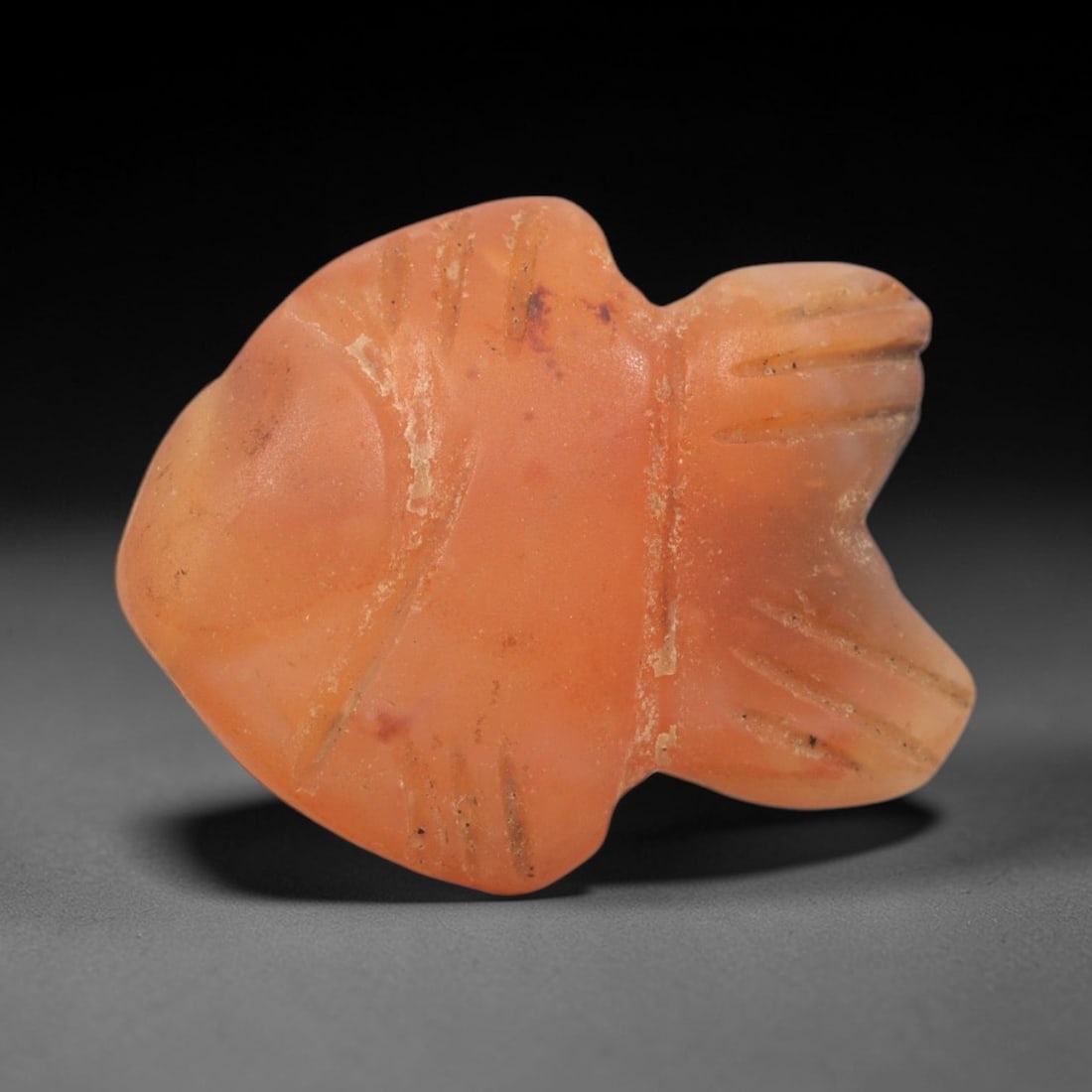 Ancient Agate Fish - Egyptian Amulet Pendant, 71XS: This amulet is carved from warm orange-red agate, exhibiting natural translucency and subtle banding characteristic of ancient Egyptian glyptic craftsmanship. The form is a stylized fish, with a strea