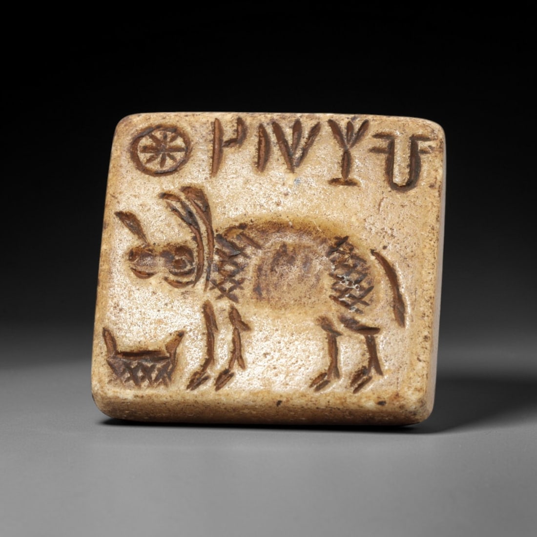 Ancient Steatite Stamp Seal - Indus Valley Bull Figurine, 96ZV: This ancient Indus Valley stamp seal is carved from steatite, formed as a square plaque with incised decoration depicting a standing bull figure in profile, rendered with distinct linear detailing for
