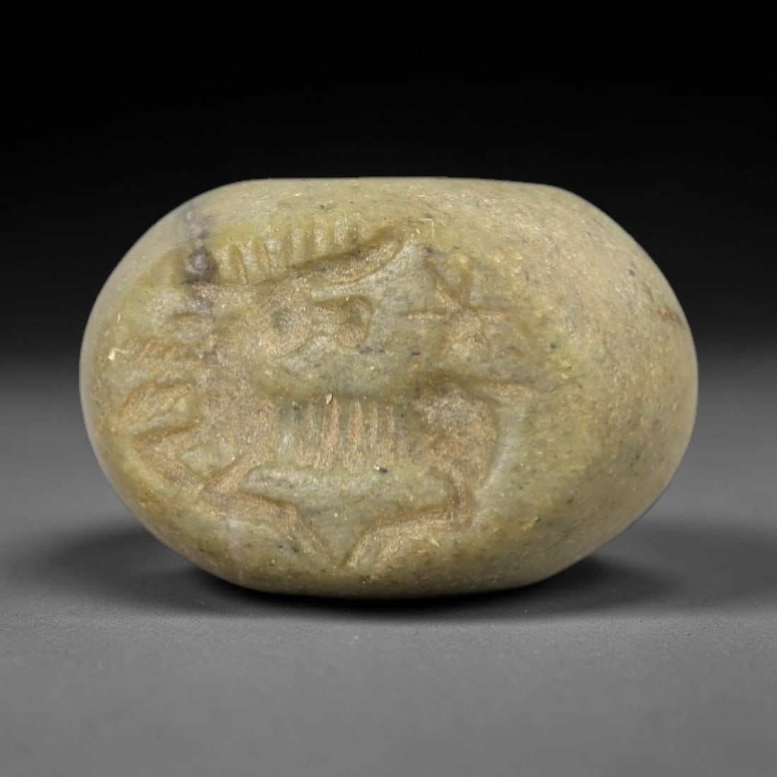 Ancient Steatite Stamp Seal - Near Eastern Stag Figure, 39AN: Carved from muted green steatite, this hemispherical stamp seal depicts a stylized stag with prominent branching antlers, linear incised details defining its body and limbs. The iconography reflects t