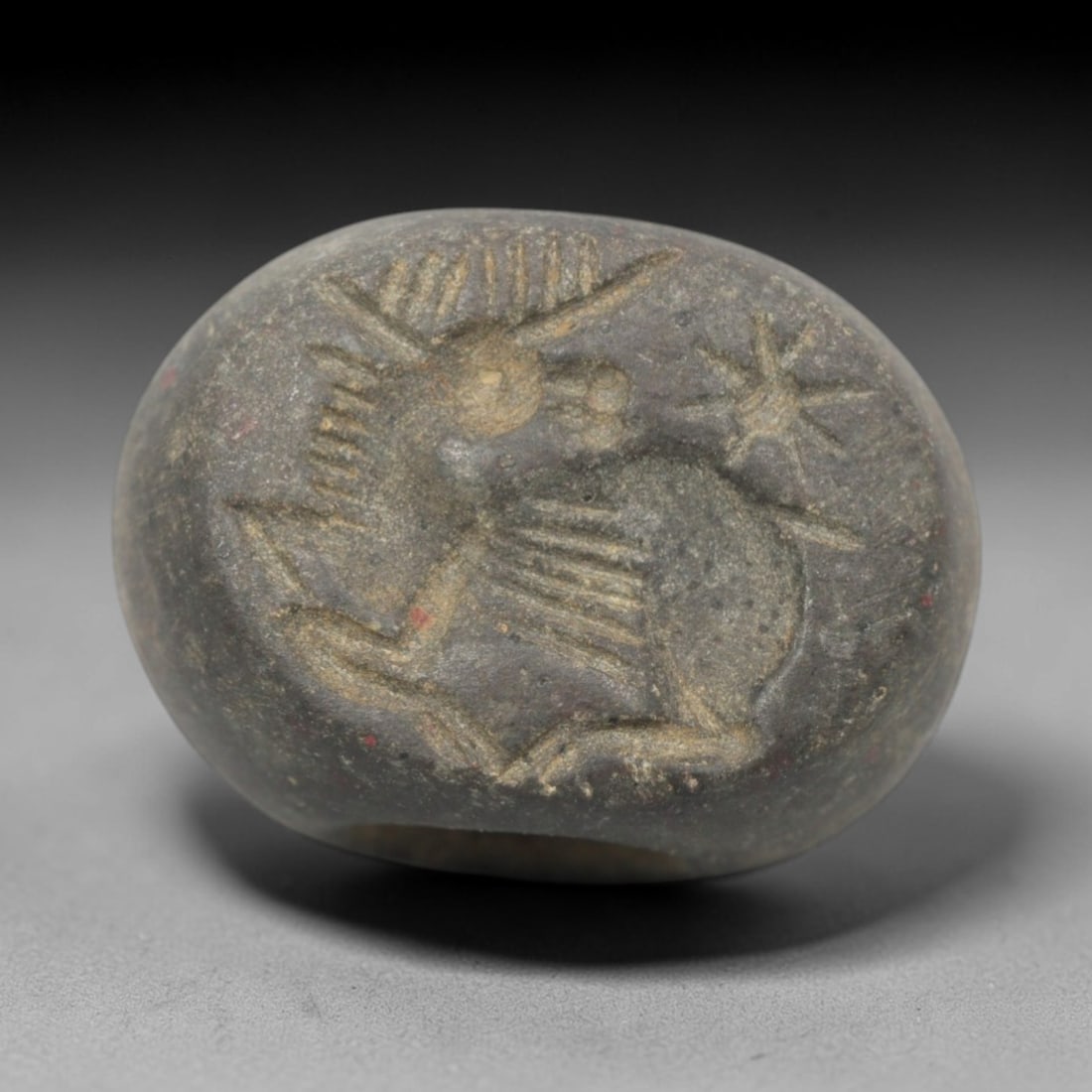 Ancient Stone Hemispherical Stamp Seal - Near Eastern Ibex Star Figure, 80ZS: Crafted from dense, dark gray stone, this hemispherical stamp seal bears incised carving of a leaping ibex, with prominent curved horns, segmented torso, and dynamic linear limb motifs, alongside a st