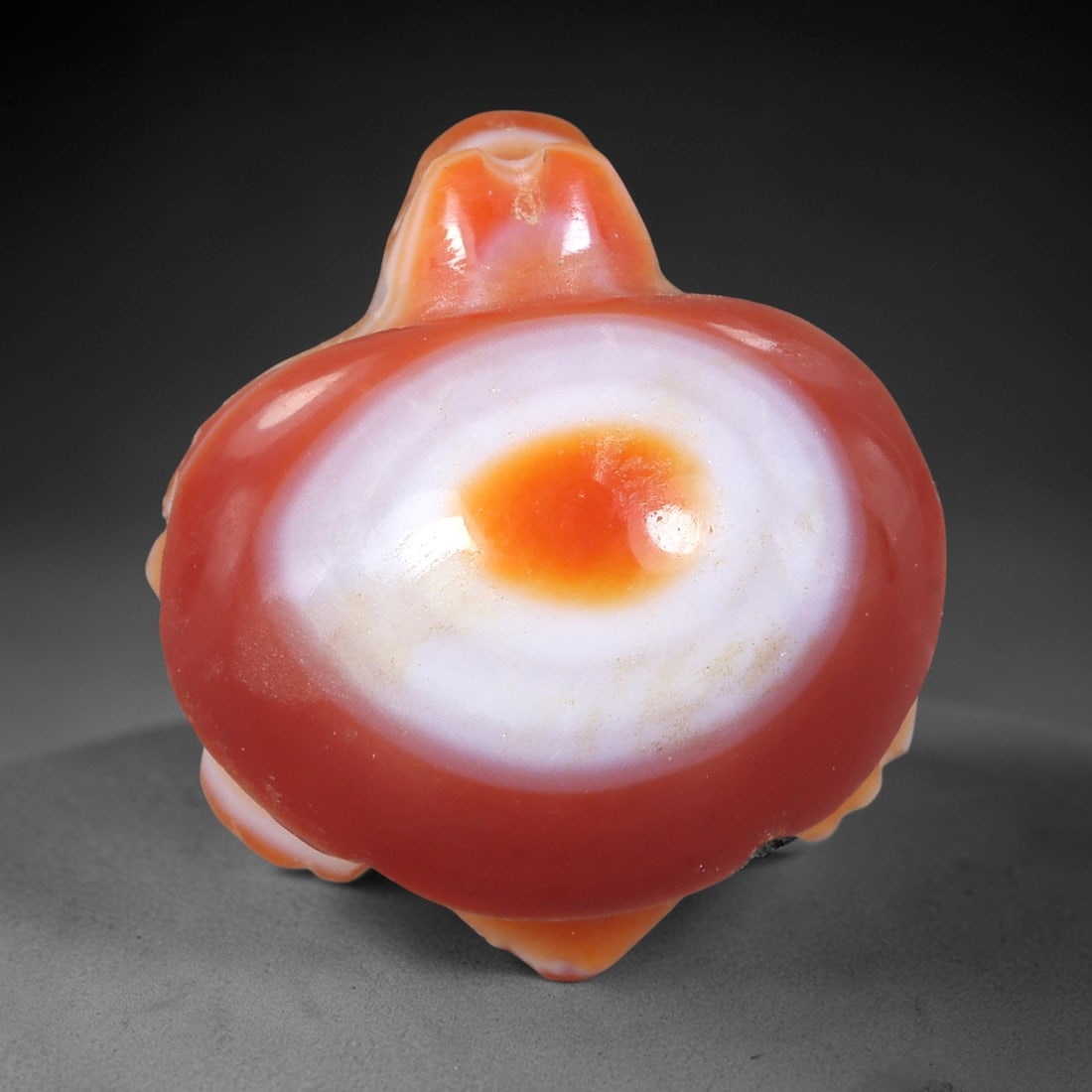 Antique Central Asian Agate Tortoise Amulet, 18AR: This artifact is a Central Asian antique tortoise amulet, carved from vibrant banded agate with a smooth, highly polished surface showcasing natural concentric orange and white color layers. The form